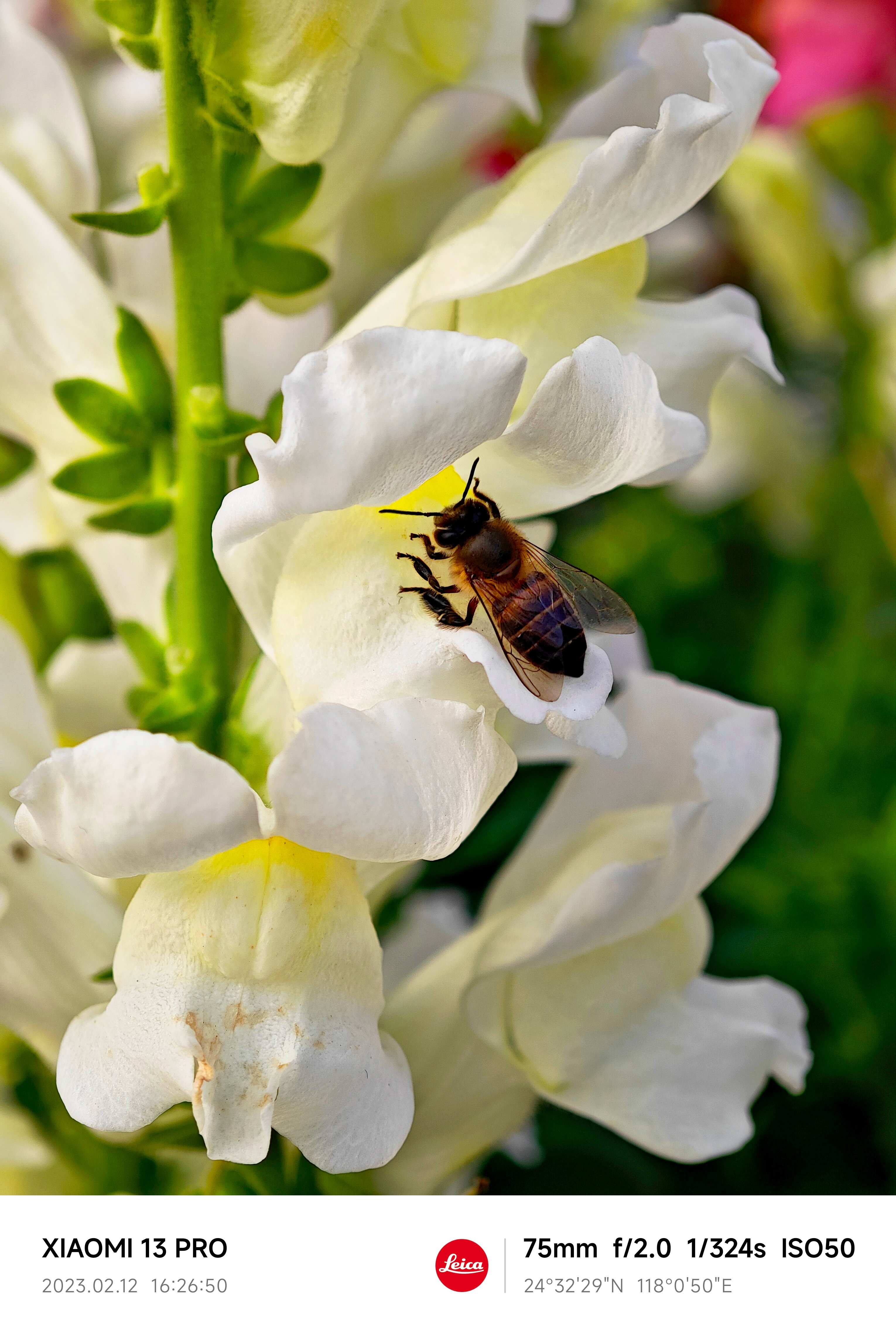 J9����ֱӪ��(�й�)�ٷ���վ