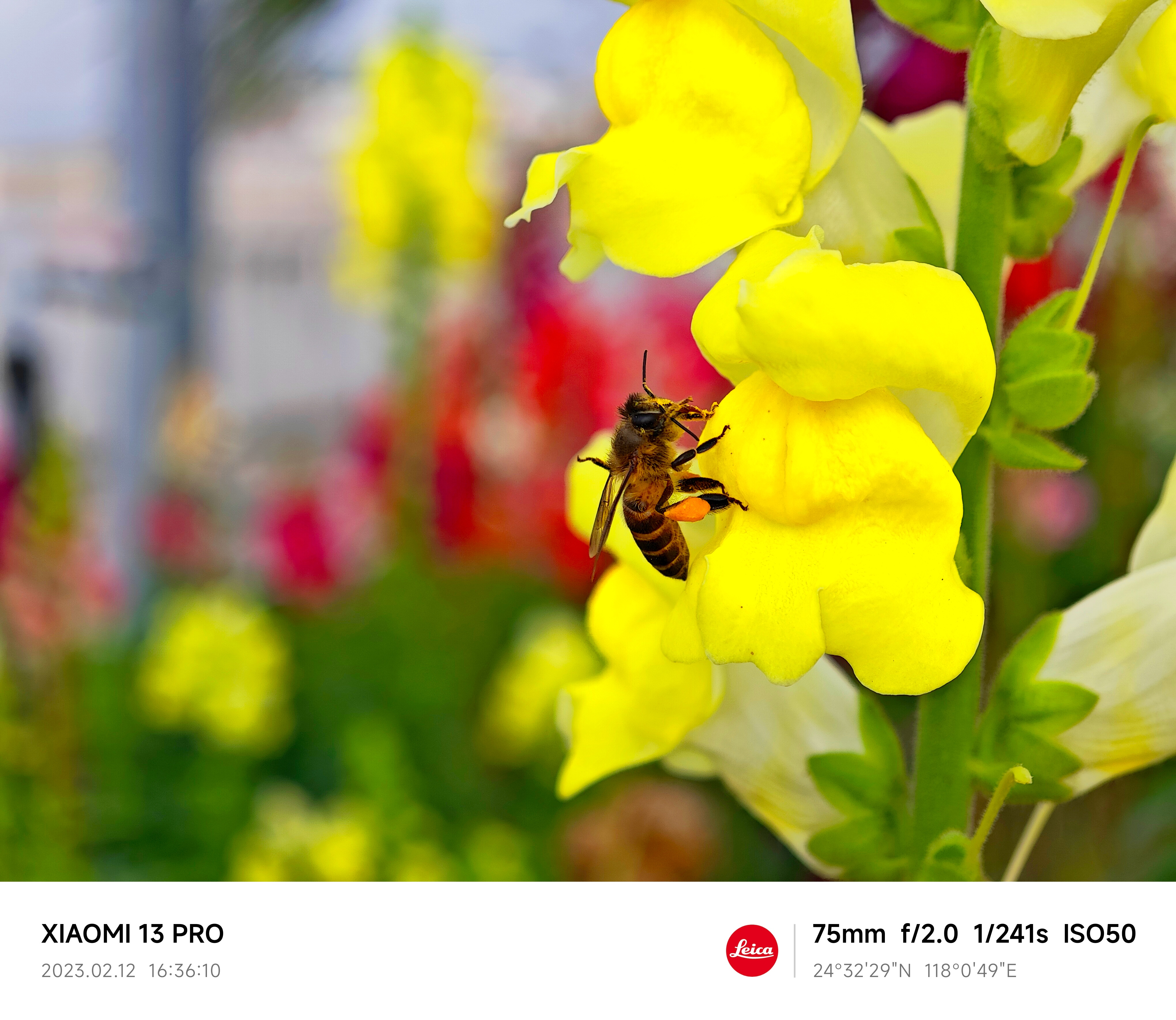 J9����ֱӪ��(�й�)�ٷ���վ